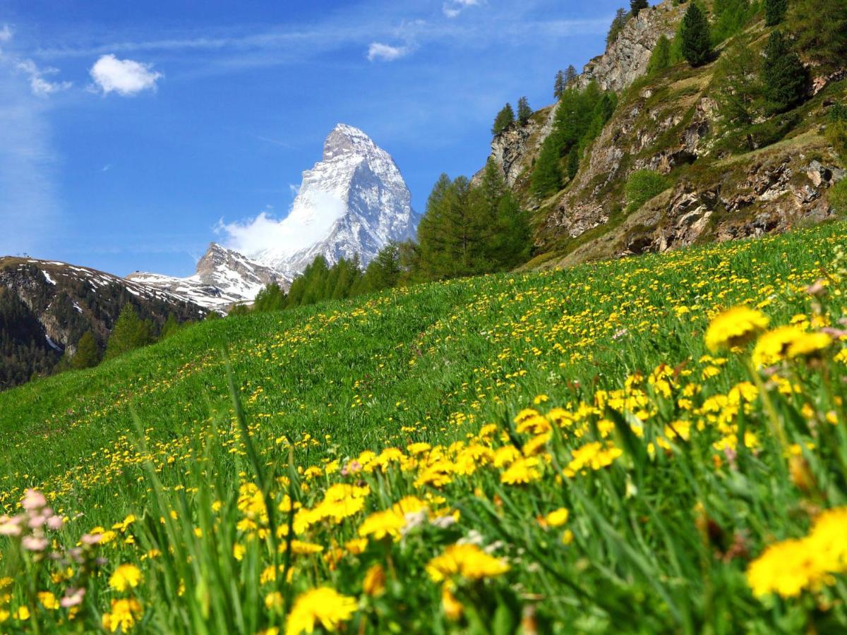 Holiday Home Gaedi By Interhome Zermatt Exteriér fotografie